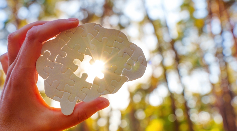 Holding Puzzle Piece Shaped Like Brain With Sunlight Background